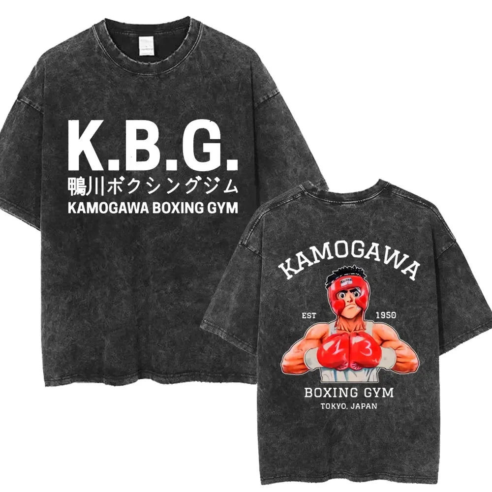 ippo pump cover